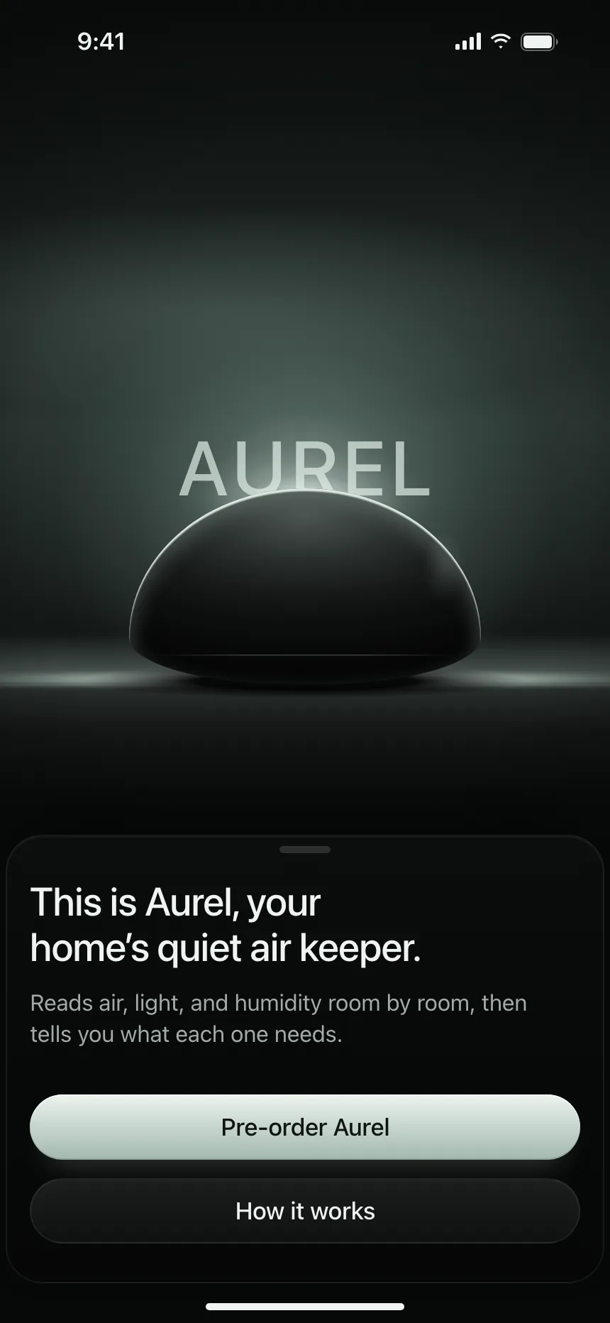 Account Setup