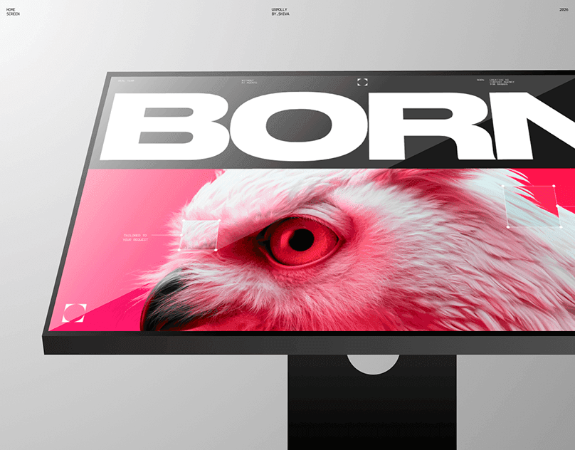 Born Agency | Creative Studio Website