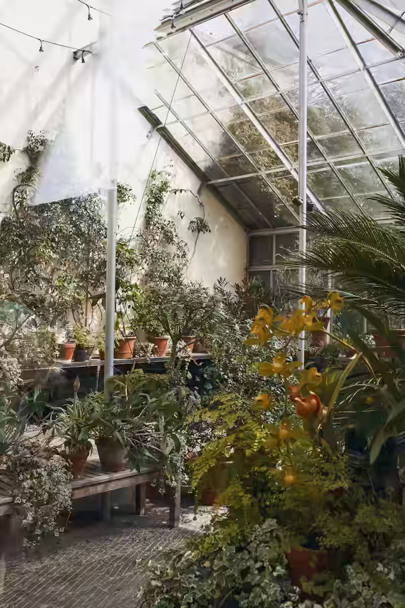 The Melancholic Sunroom